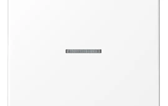 JUNG LS990KO5WWM Kontrollwippe Serie LS 1-fach | schneeweiß matt