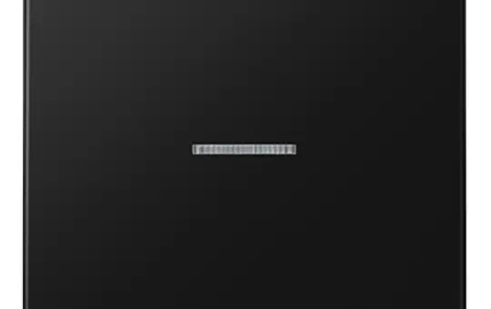 JUNG LS990KO5SWM Kontrollwippe Serie LS 1-fach | graphitschwarz matt