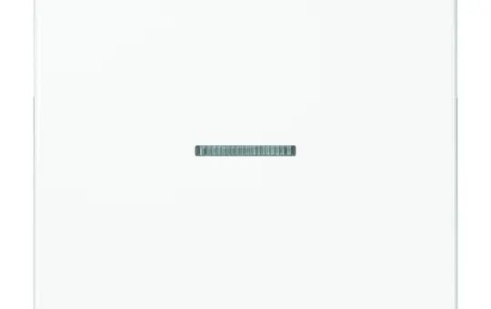 JUNG LS990KO5WW Kontrollwippe Serie LS 1-fach | alpinweiß