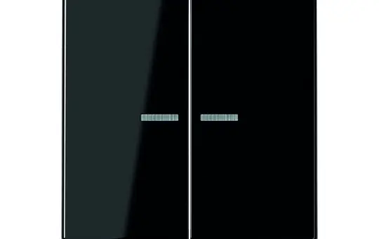 JUNG A595KO5SW Kontrollwippe Serie A 2-fach | schwarz