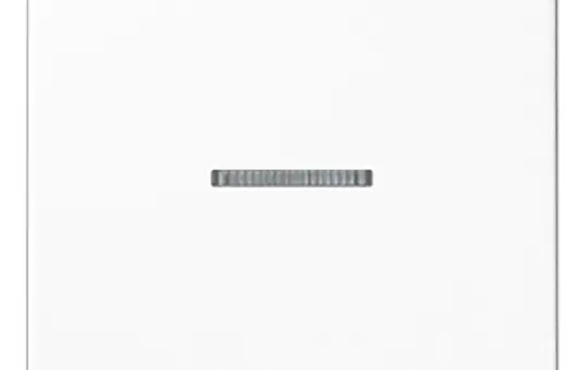 JUNG A590KO5WW Kontrollwippe Serie A 1-fach | alpinweiß