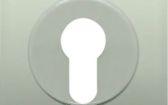 JUNG AL2928 Abdeckung für Schlüsselschalter Serie LS mit Demontageschutz | aluminium