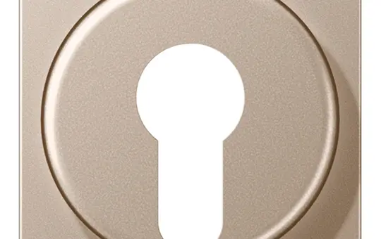JUNG A528PLCH Abdeckung für Schlüsselschalter Serie A mit Demontageschutz | champagner