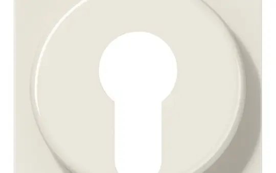 JUNG A528PL Abdeckung für Schlüsselschalter Serie A mit Demontageschutz | weiß