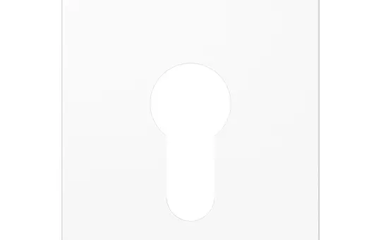 JUNG A525PLWW Abdeckung für Schlüsselschalter Serie A ohne Demontageschutz | alpinweiß