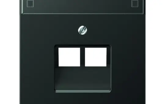 JUNG AL2969-2NAUAAN Netzwerkabdeckung Serie LS 2-fach, Schriftfeld | anthrazit