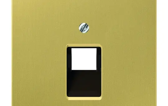 JUNG ME2969-1UAC Netzwerkabdeckung Serie LS 1-fach | messing classic