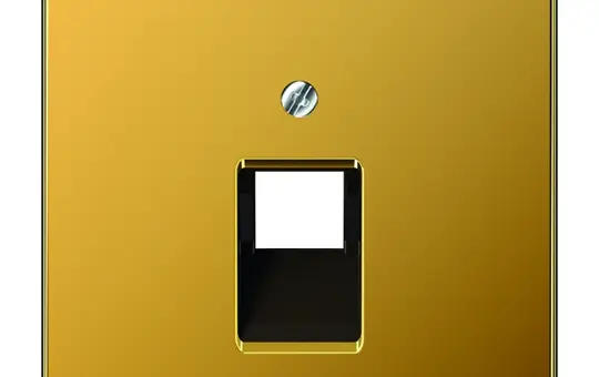 JUNG LS969-1UAGGO Netzwerkabdeckung Serie LS 1-fach | vergoldet