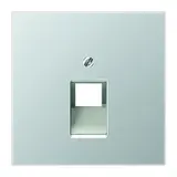 JUNG AL2969-1UA Netzwerkabdeckung Serie LS 1-fach | aluminium
