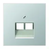 JUNG AL2969-2UA Netzwerkabdeckung Serie LS 2-fach | aluminium