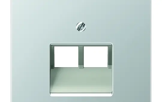 JUNG AL2969-2UA Netzwerkabdeckung Serie LS 2-fach | aluminium