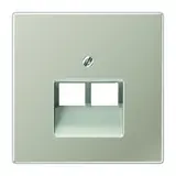 JUNG ES2969-2UA Netzwerkabdeckung Serie LS 2-fach | edelstahl