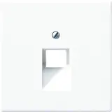 JUNG LS969-1UALG Netzwerkabdeckung Serie LS 1-fach | lichtgrau