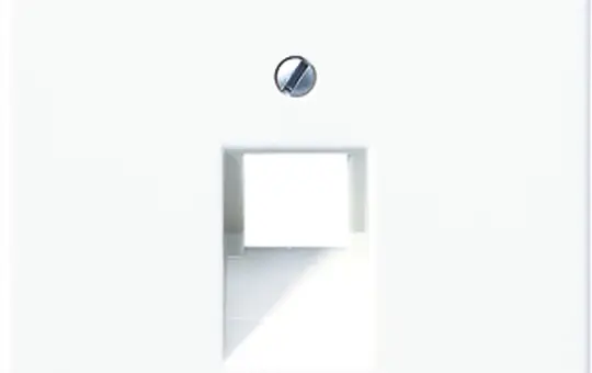 JUNG LS969-1UALG Netzwerkabdeckung Serie LS 1-fach | lichtgrau