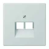 JUNG LS969-2UALG Netzwerkabdeckung Serie LS 2-fach | lichtgrau