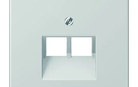 JUNG LS969-2UALG Netzwerkabdeckung Serie LS 2-fach | lichtgrau