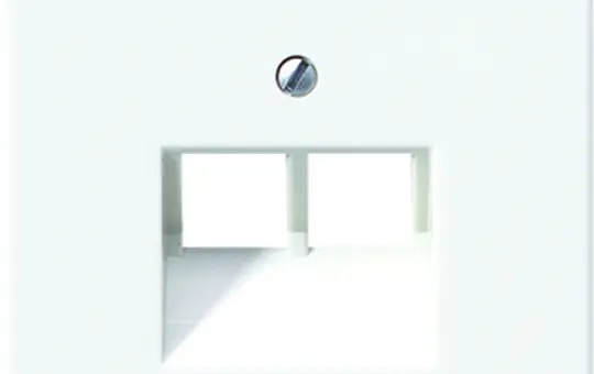 JUNG LS969-2UAWW Netzwerkabdeckung Serie LS 2-fach | alpinweiß