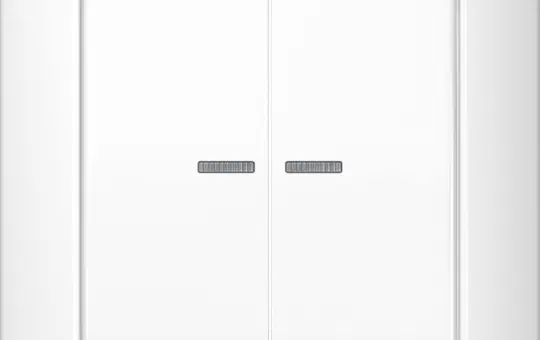 JUNG AS590-5KO5WW Kontrollwippe kompl. Serie AS 2-fach | alpinweiß