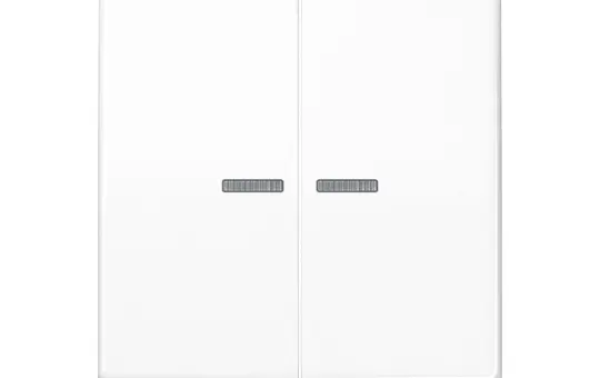 JUNG AS591-5KO5WW Kontrollwippe Serie AS 2-fach | alpinweiß