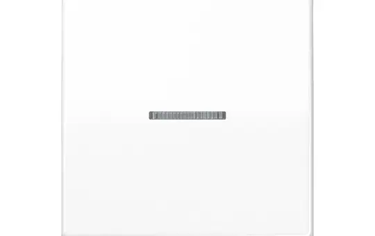 JUNG AS591KO5BFWW Kontrollwippe Serie AS 1-fach, Thermoplast | alpinweiß