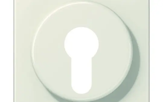 JUNG 528 Abdeckung für Schlüsselschalter Serie CD mit Demontageschutz | weiß