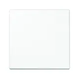 JUNG ENOLS990WW EnOcean-Funk-Wandsender LS 2-fach | alpinweiß