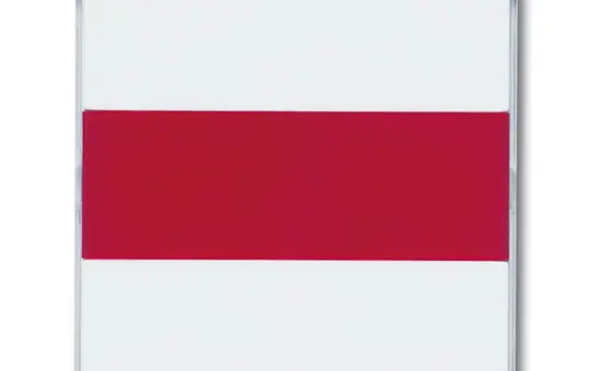 BUSCH-JAEGER 1573CN-84 beschr. Infoline-Abdeckung Future Lichtfenster, rot/neutral | studioweiß