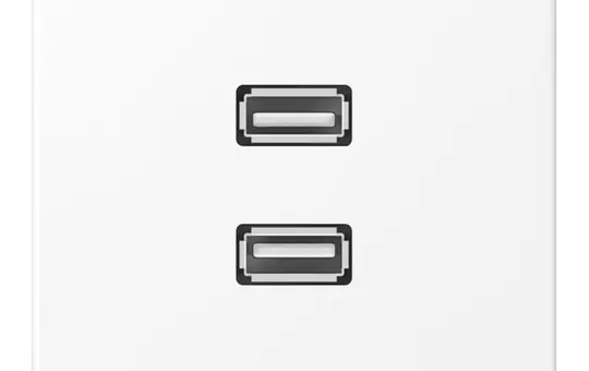 JUNG MALS1153WWM Multimedia-Einsatz Serie LS 2xUSB 2.0 | schneeweiß matt