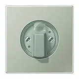 JUNG ES1941 Drehschalterabdeckung Serie LS edelstahl