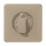 JUNG CD1541GB Drehschalterabdeckung mit Knebel Serie CD gold-bronze