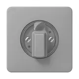 JUNG CD1541GR Drehschalterabdeckung mit Knebel Serie CD grau