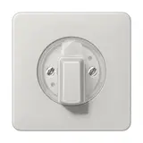 JUNG CD1541LG Drehschalterabdeckung mit Knebel Serie CD lichtgrau