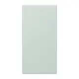 JUNG LS50NALG Schriftfeldabdeckung F50 Serie LS lichtgrau