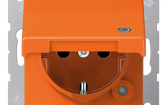 JUNG A1520BFKLKOO EDV-Steckdose A/AS Kontrolllicht, selbstschl. Klappdeckel | orange