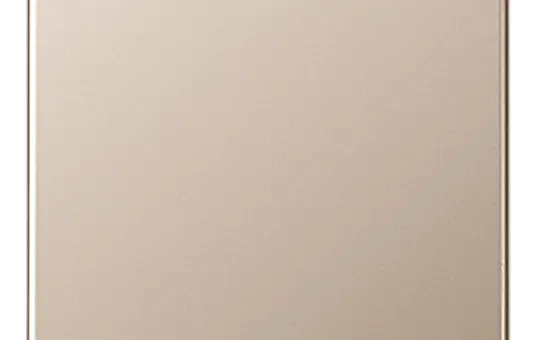 JUNG A590CH Wippe Serie A 1-fach | champagner