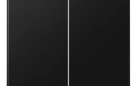 JUNG A595SWM Wippe Serie A 2-fach | graphitschwarz matt