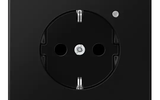 JUNG LS1520-OSWMLNW SCHUKO-Steckdose LS Orientierungslicht, Helligkeitssensor | graphitschwarz matt