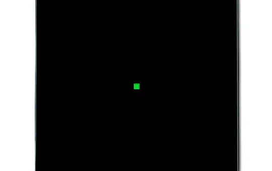 BUSCH-JAEGER 6230-10-81 Wippe flex Future 1-fach | anthrazit