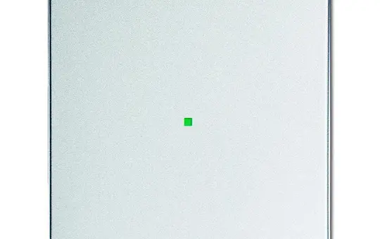 BUSCH-JAEGER 6230-10-83 Wippe flex Future 1-fach | alusilber