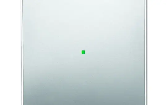 BUSCH-JAEGER 6230-10-866 Wippe flex Future 1-fach | edelstahl