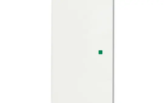 BUSCH-JAEGER 6230-20-884 Wippe flex Future 2-fach | studioweiß matt