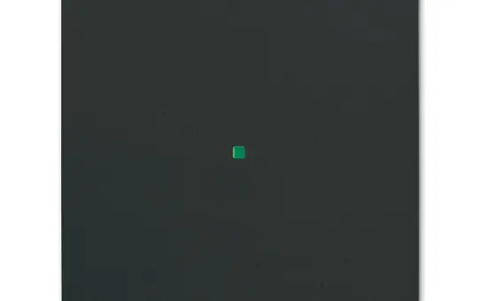 BUSCH-JAEGER 6230-10-885 Wippe flex Future 1-fach | schwarz matt