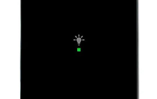 BUSCH-JAEGER 6231-10-81 beschr. Wippe flex Future 1-fach, Licht | anthrazit