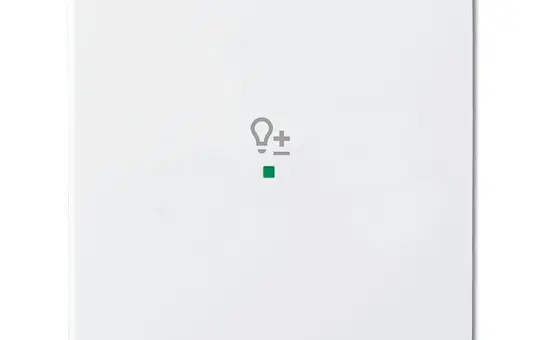 BUSCH-JAEGER 6234-10-84 beschr. Wippe flex Future 1-fach, Dimmer | studioweiß