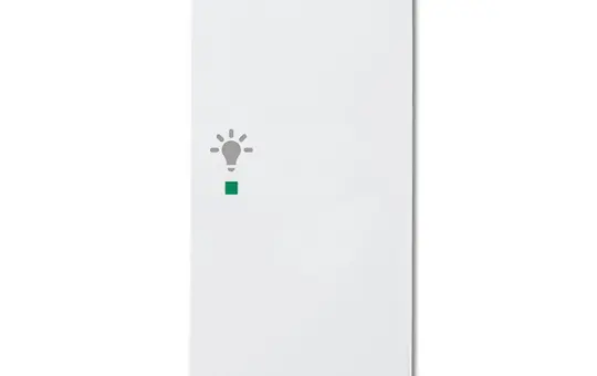 BUSCH-JAEGER 6231-22-84 beschr. Wippe flex Future 2-fach, Licht, rechts | studioweiß