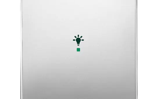 BUSCH-JAEGER 6231-10-866 beschr. Wippe flex Future 1-fach, Licht | edelstahl