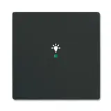 BUSCH-JAEGER 6231-10-885 beschr. Wippe flex Future 1-fach, Licht | schwarz matt