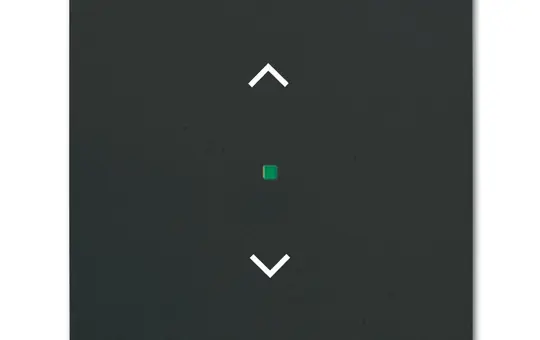 BUSCH-JAEGER 6232-10-885 beschr. Wippe flex Future 1-fach, Jalousie | schwarz matt