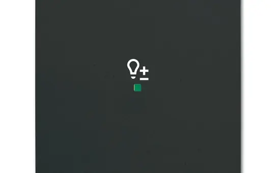 BUSCH-JAEGER 6234-10-885 beschr. Wippe flex Future 1-fach, Dimmer | schwarz matt