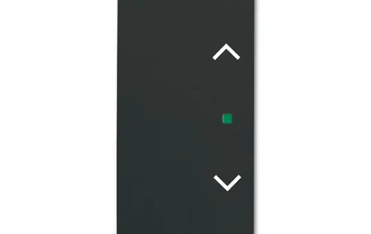 BUSCH-JAEGER 6232-20-885 beschr. Wippe flex Future 2-fach, Jalousie | schwarz matt